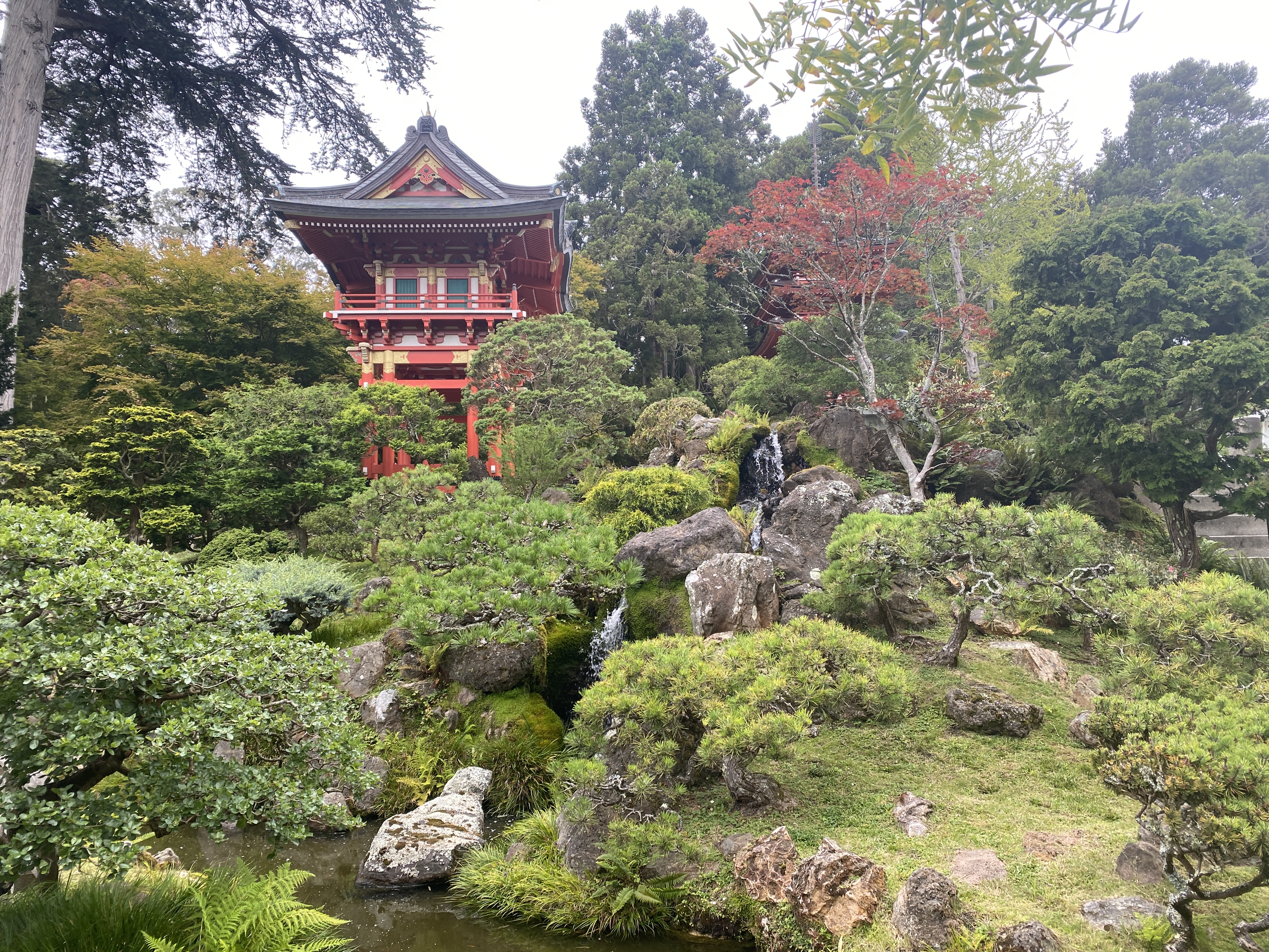 Japanese Tea Garden